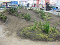 IMG_2428