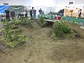 IMG_2429