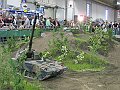 IMG_2487