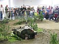 IMG_2489