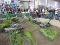 IMG_2558