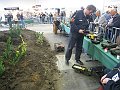 IMG_3689