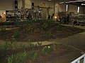 IMG_6896