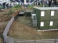 IMG_1505