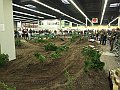 DSCF5313
