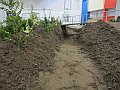 IMG_0092