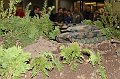 IMG_0955