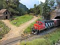 IMG_1003