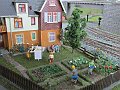 IMG_1004
