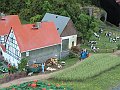 IMG_1005