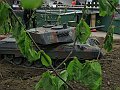 IMG_1959