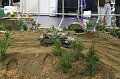 IMG_1654