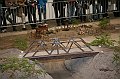 IMG_9107