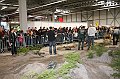 IMG_9309