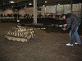 IMG_4151