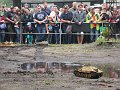 IMG_1521
