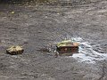 IMG_1566