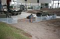 IMG_6420