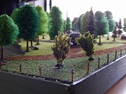 DSCN4531