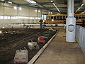 IMG_7075