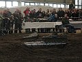 IMG_7174