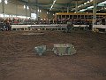 IMG_7181