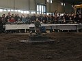 IMG_7183