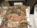 IMG_7237