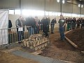 IMG_7250