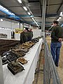 DSCN0786