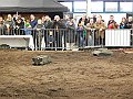 DSCN0844
