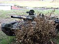 DSCF0206