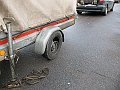 IMG_1341