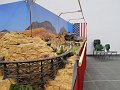 DSCN4864