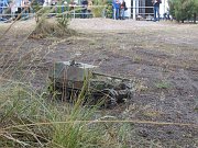 IMG_5364