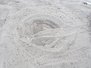 IMG_5445