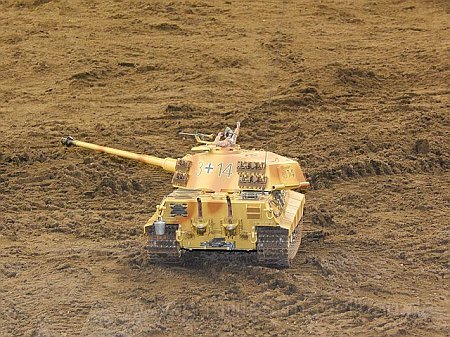 Königstiger