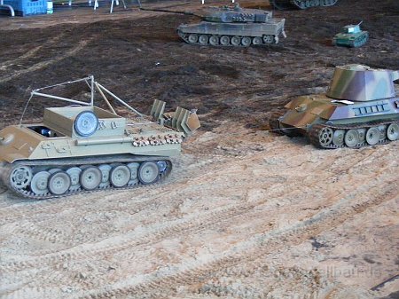 Bergepanther