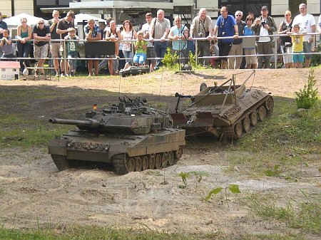 Bergepanther